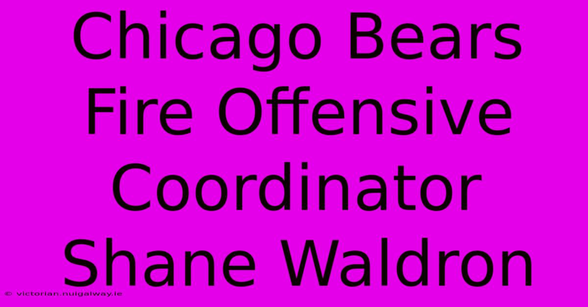 Chicago Bears Fire Offensive Coordinator Shane Waldron