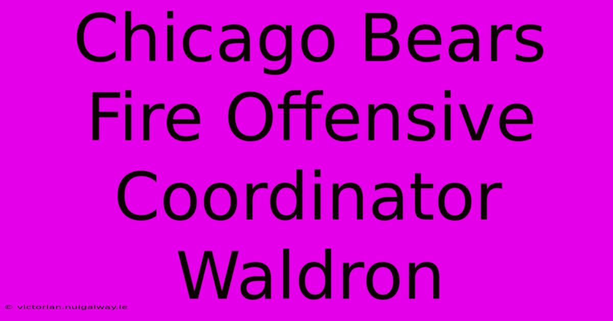 Chicago Bears Fire Offensive Coordinator Waldron