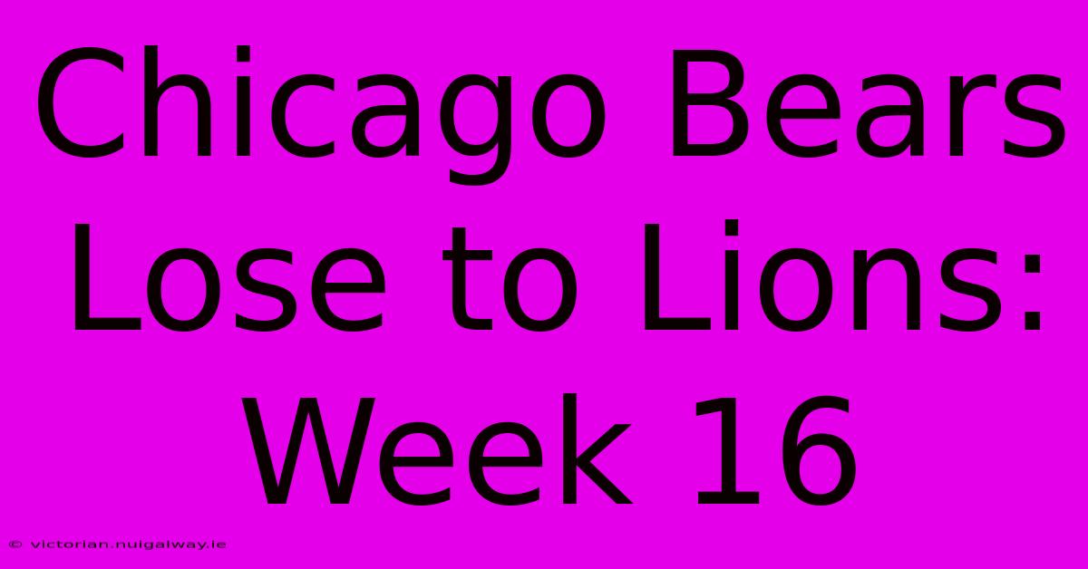 Chicago Bears Lose To Lions: Week 16