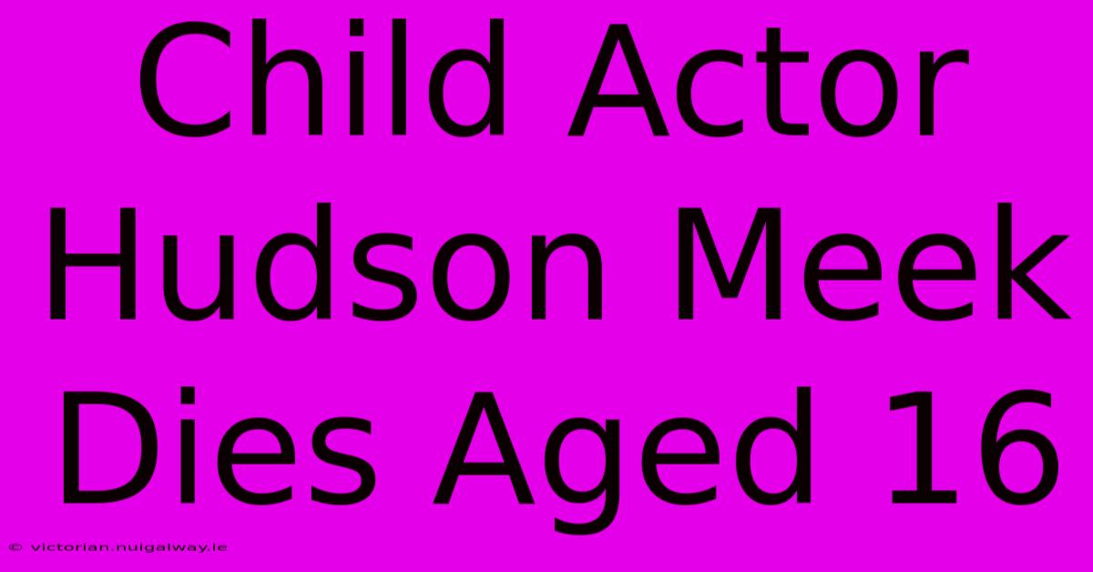 Child Actor Hudson Meek Dies Aged 16