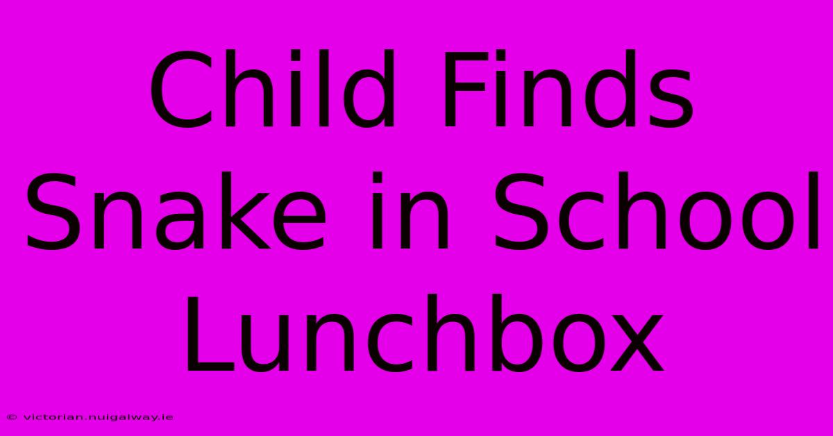 Child Finds Snake In School Lunchbox 