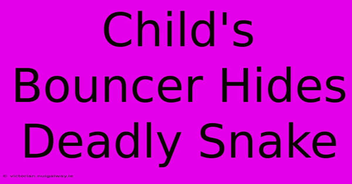 Child's Bouncer Hides Deadly Snake