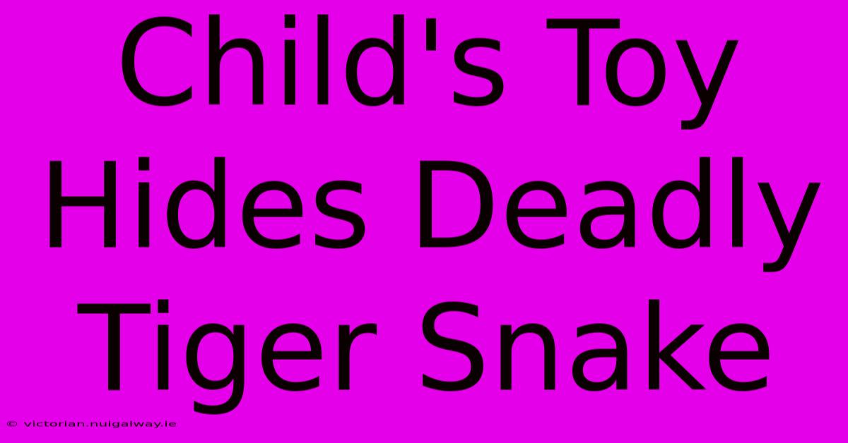 Child's Toy Hides Deadly Tiger Snake