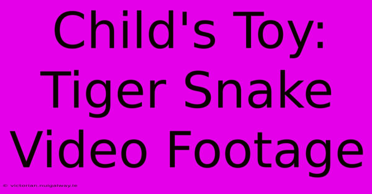 Child's Toy: Tiger Snake Video Footage