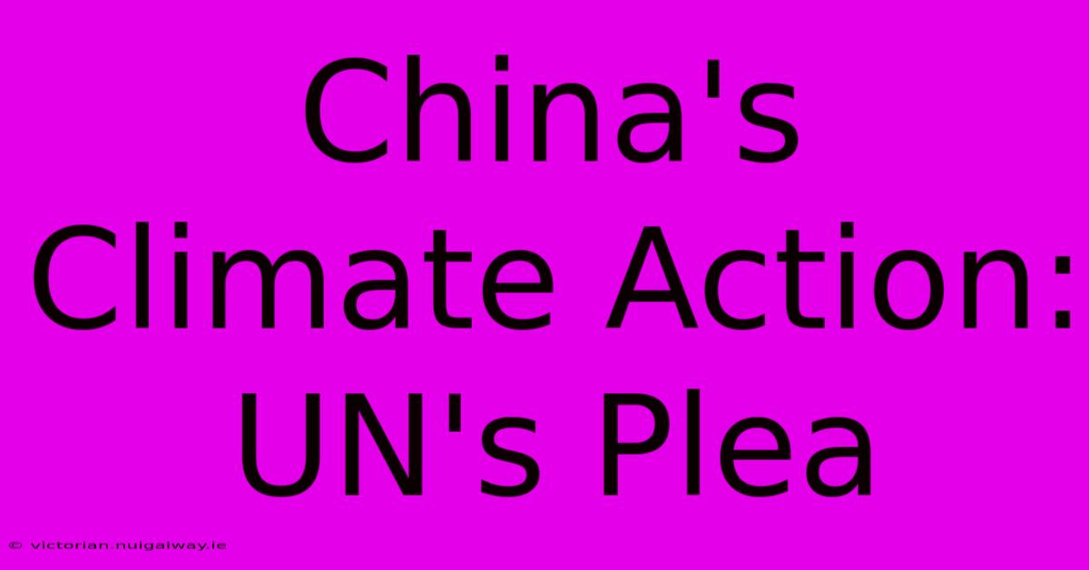 China's Climate Action: UN's Plea