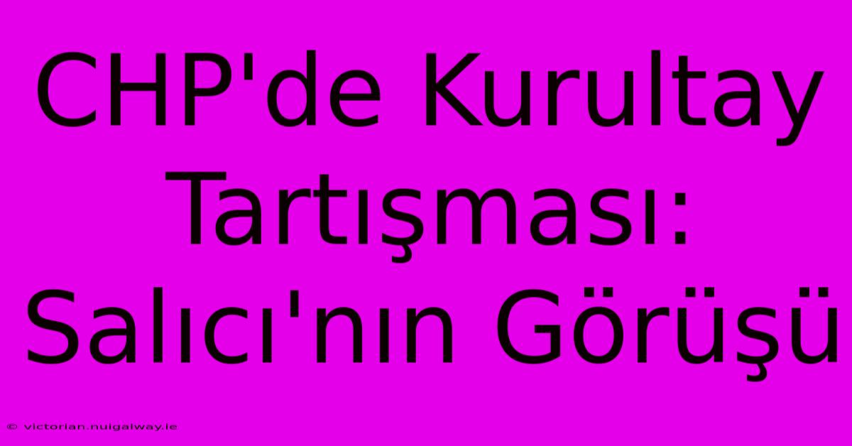 CHP'de Kurultay Tartışması: Salıcı'nın Görüşü