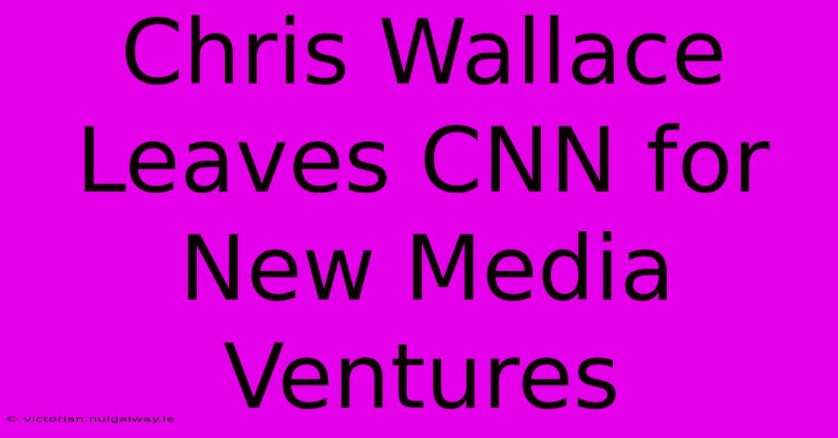 Chris Wallace Leaves CNN For New Media Ventures