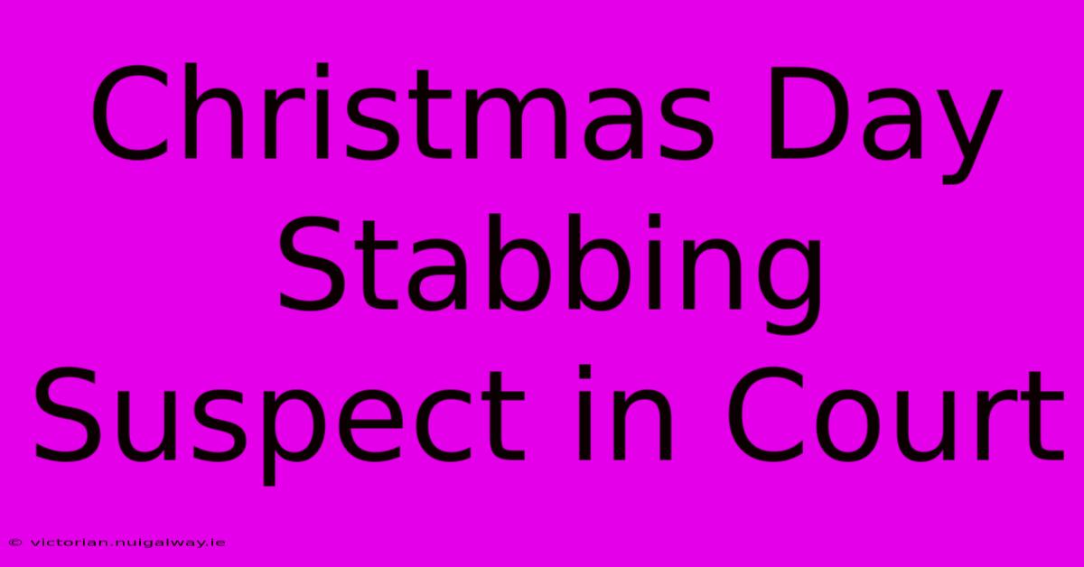 Christmas Day Stabbing Suspect In Court