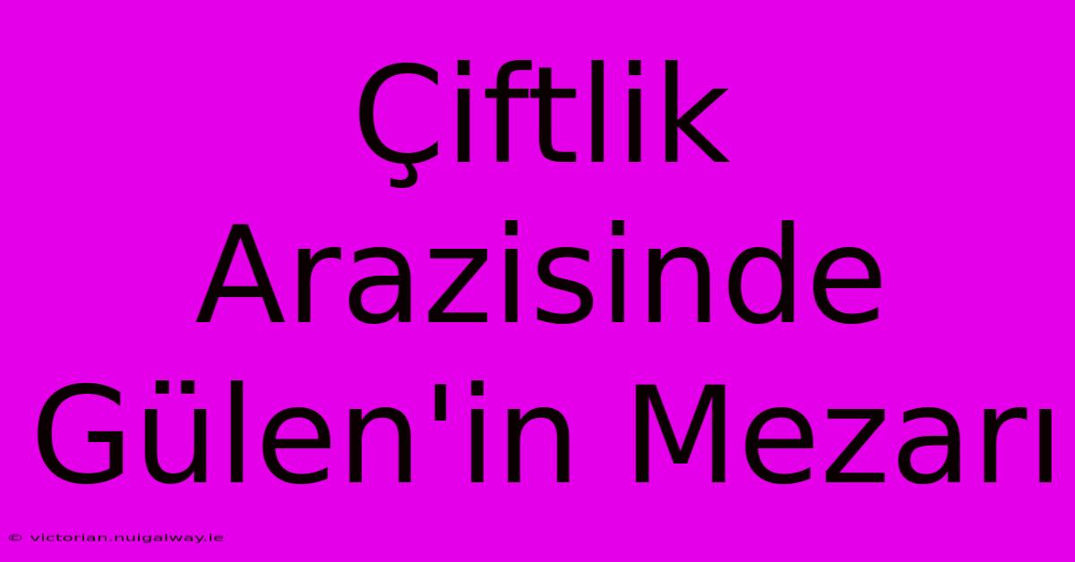 Çiftlik Arazisinde Gülen'in Mezarı