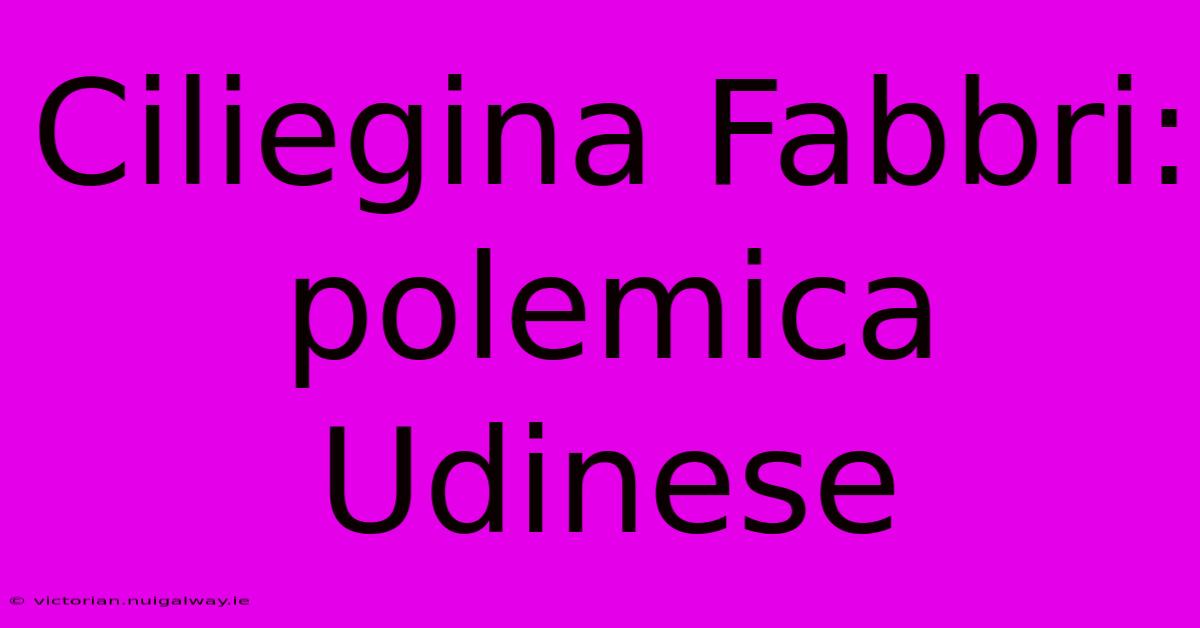 Ciliegina Fabbri: Polemica Udinese