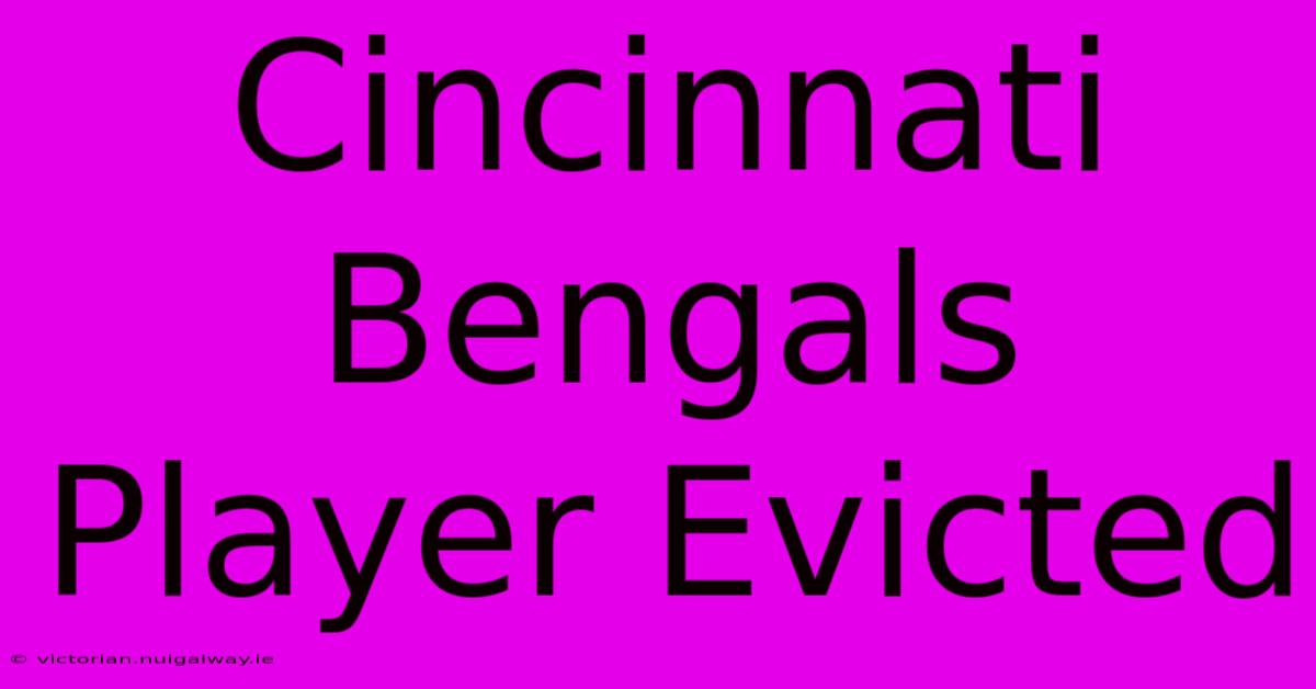 Cincinnati Bengals Player Evicted