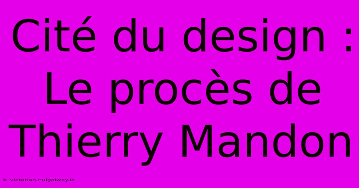 Cité Du Design : Le Procès De Thierry Mandon