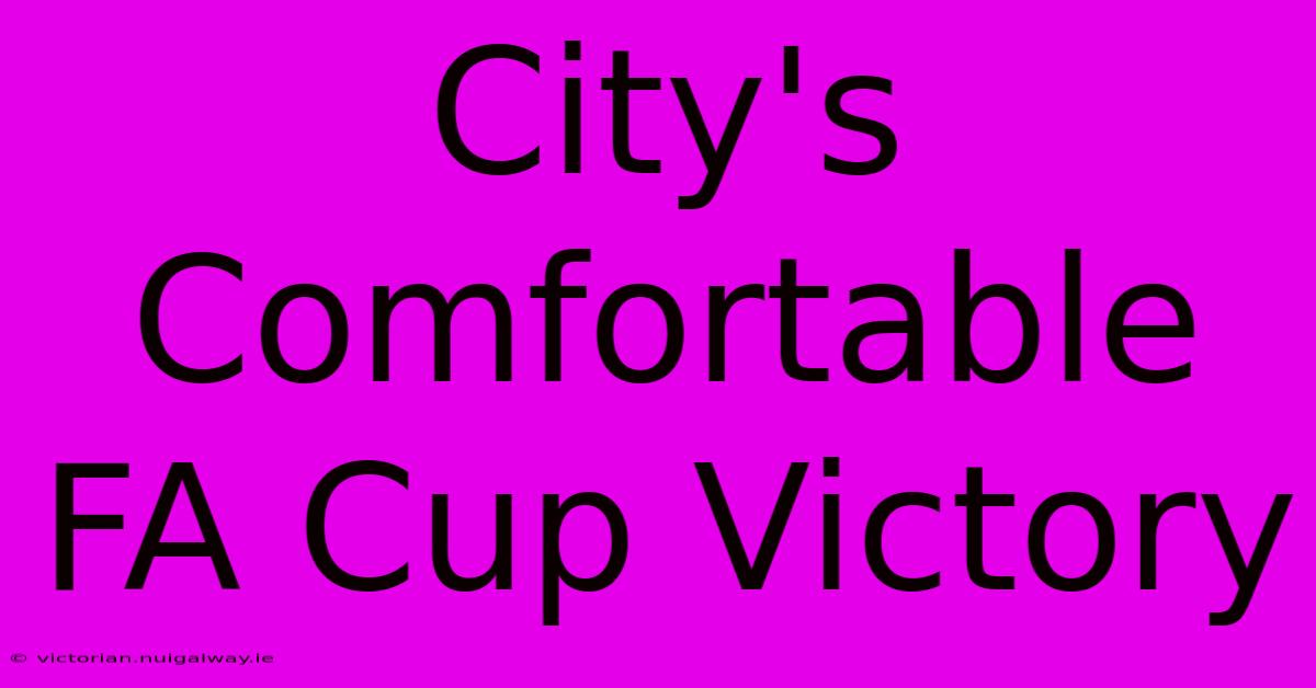 City's Comfortable FA Cup Victory