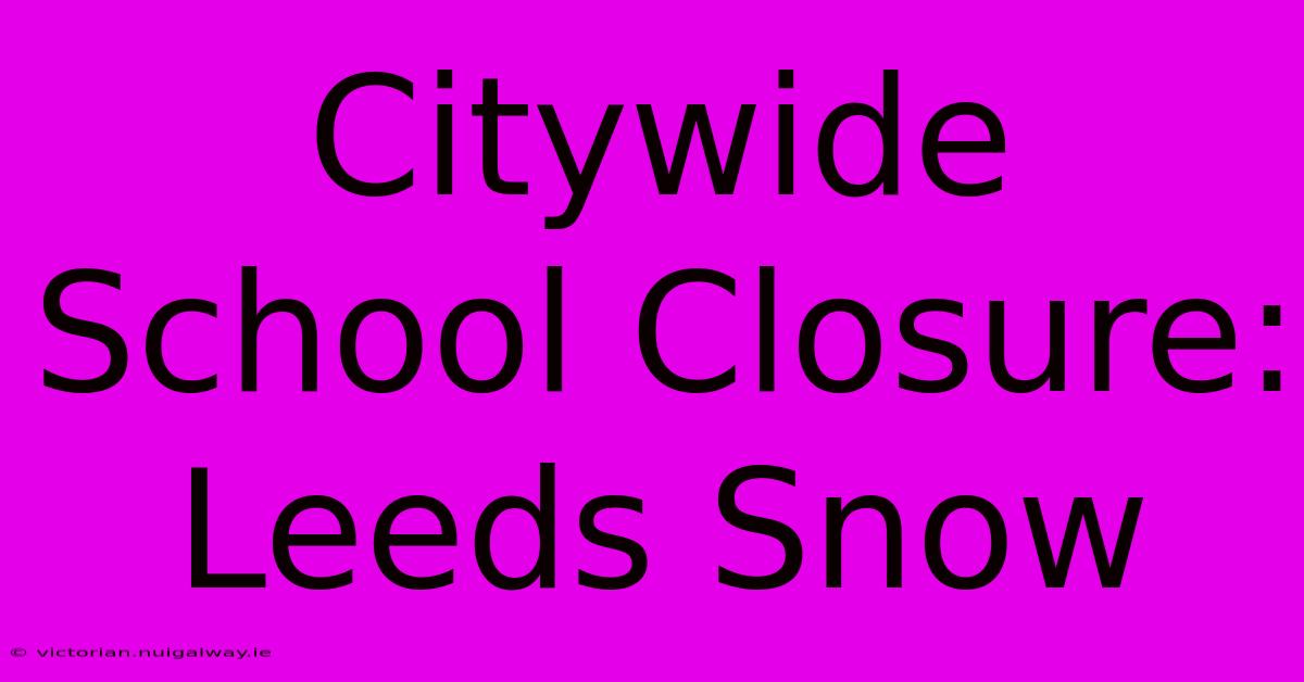 Citywide School Closure: Leeds Snow