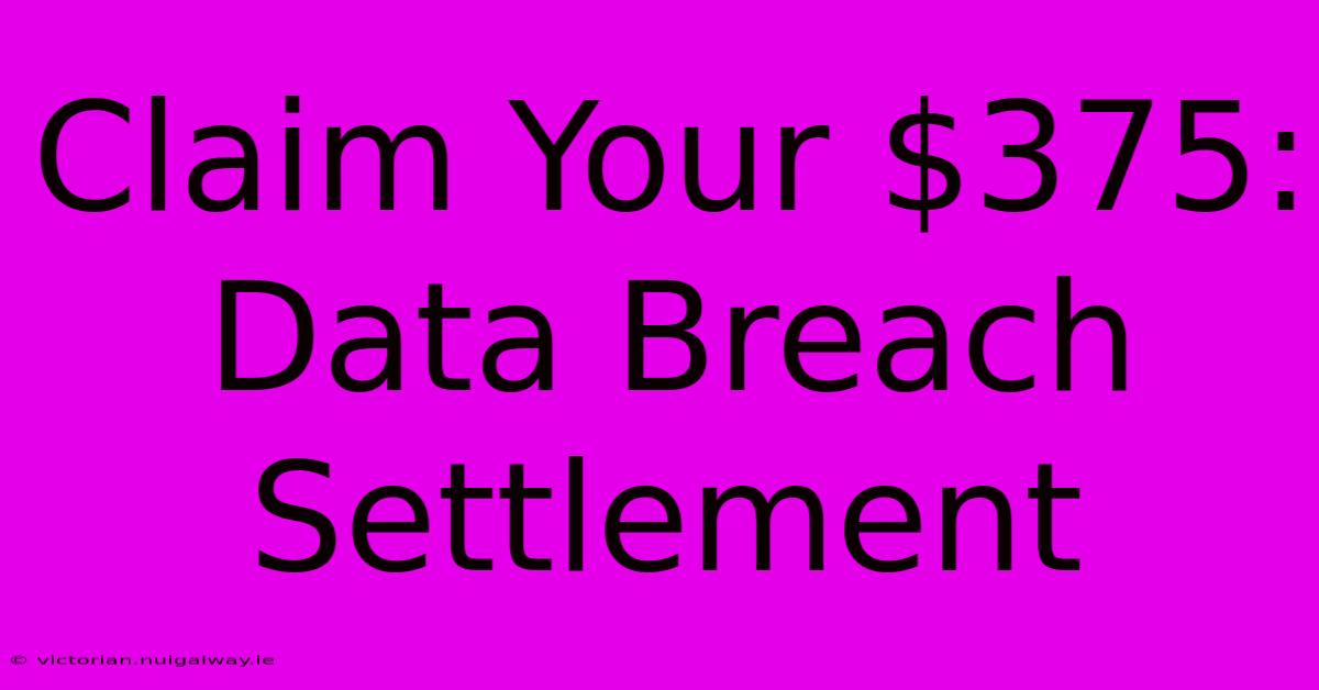 Claim Your $375: Data Breach Settlement