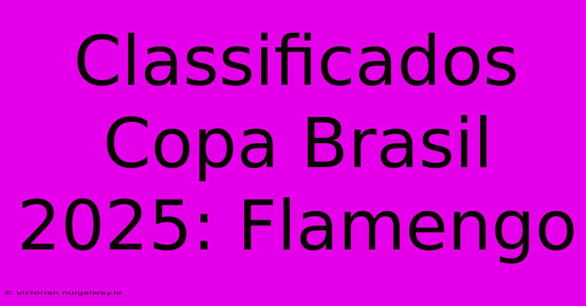 Classificados Copa Brasil 2025: Flamengo