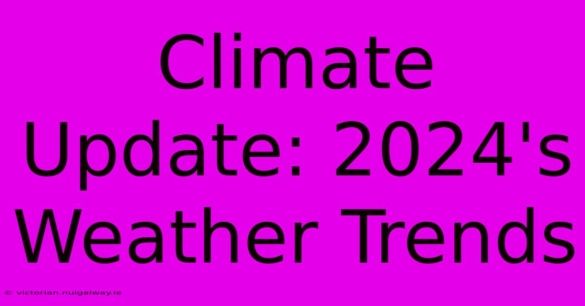 Climate Update: 2024's Weather Trends