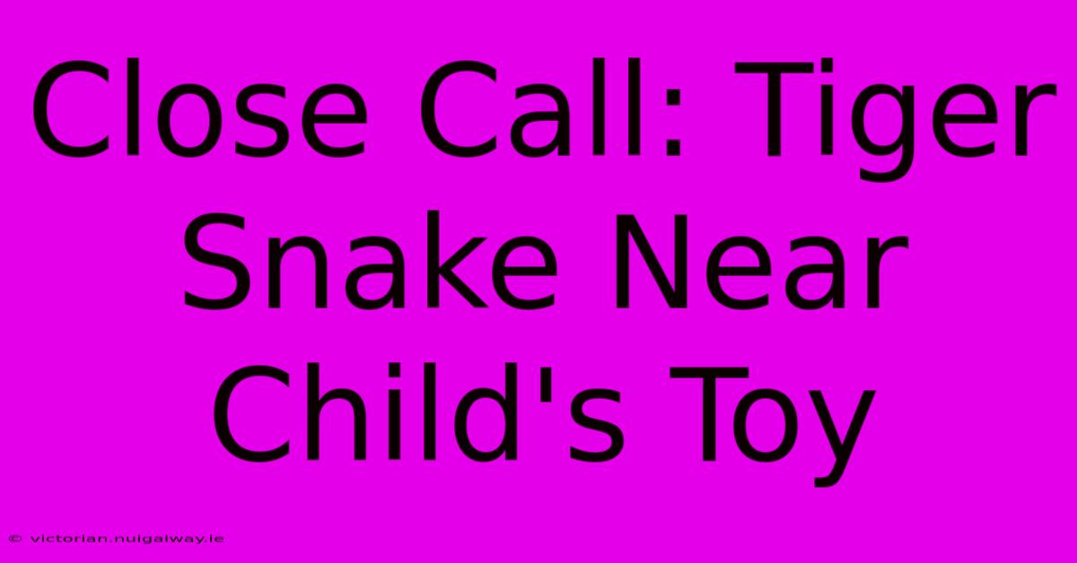 Close Call: Tiger Snake Near Child's Toy