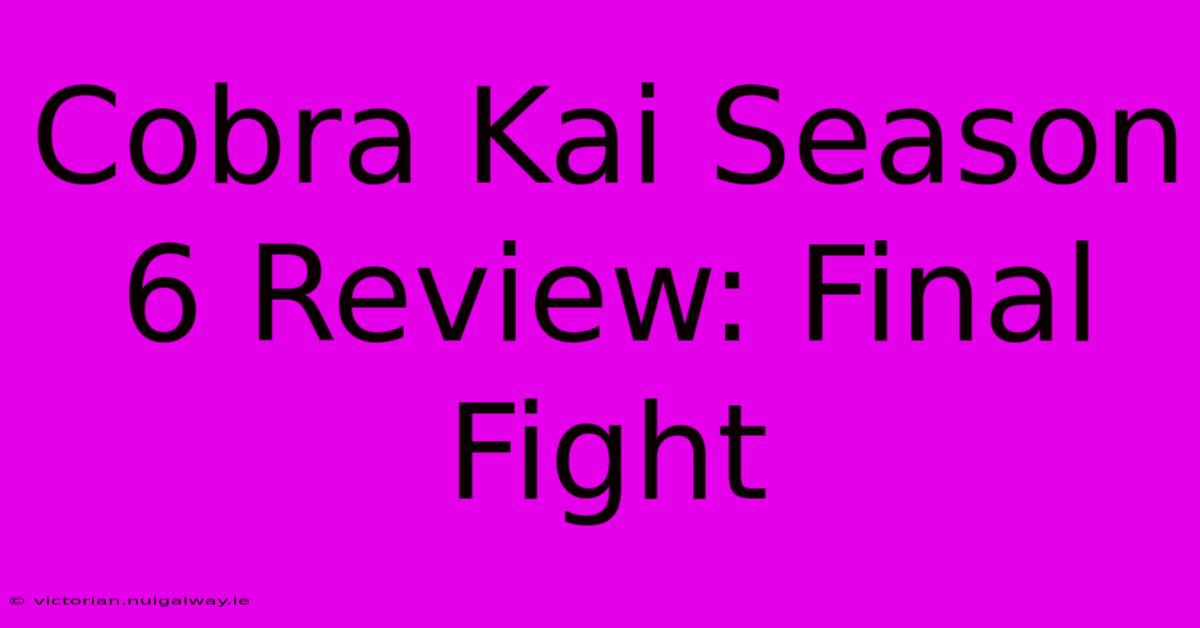 Cobra Kai Season 6 Review: Final Fight