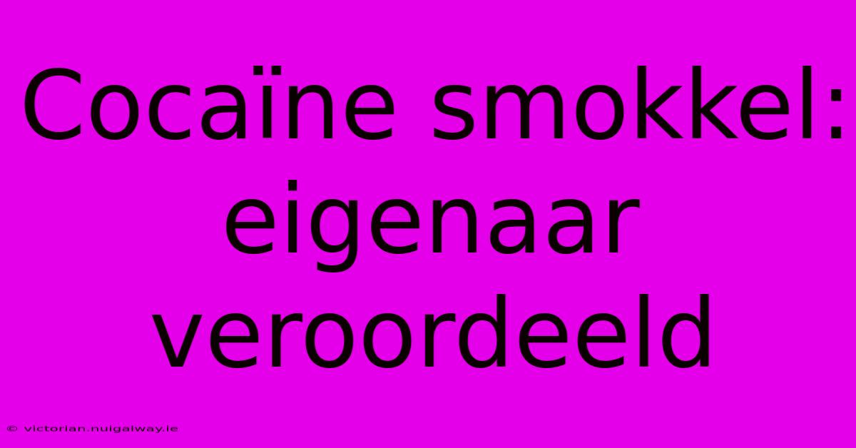 Cocaïne Smokkel: Eigenaar Veroordeeld