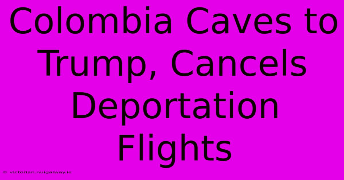 Colombia Caves To Trump, Cancels Deportation Flights