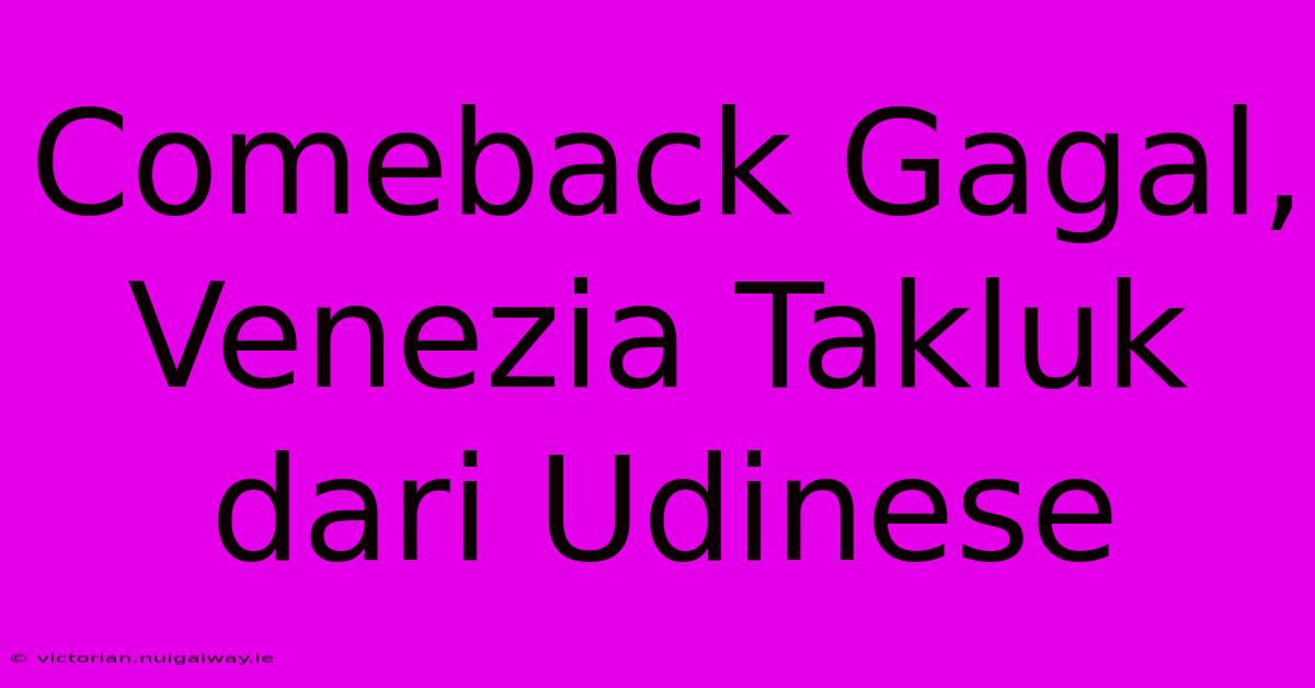 Comeback Gagal, Venezia Takluk Dari Udinese 