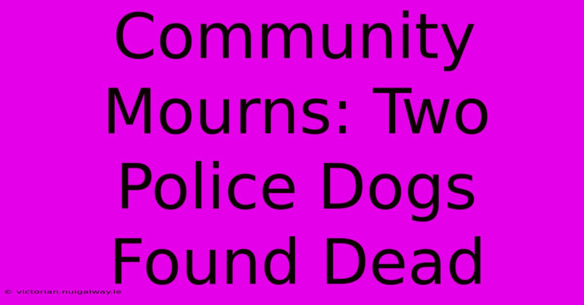 Community Mourns: Two Police Dogs Found Dead 