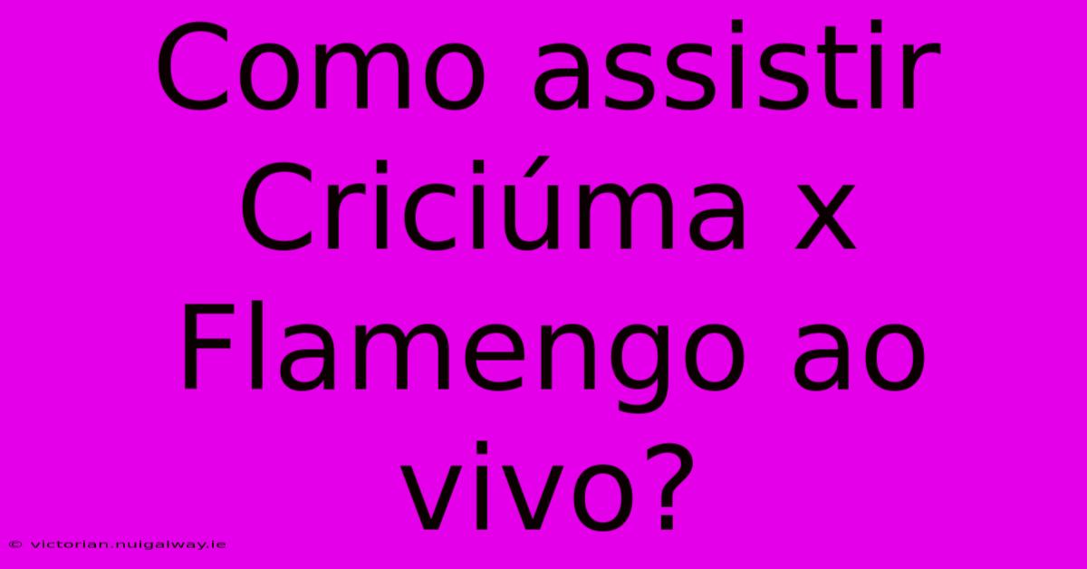 Como Assistir Criciúma X Flamengo Ao Vivo?