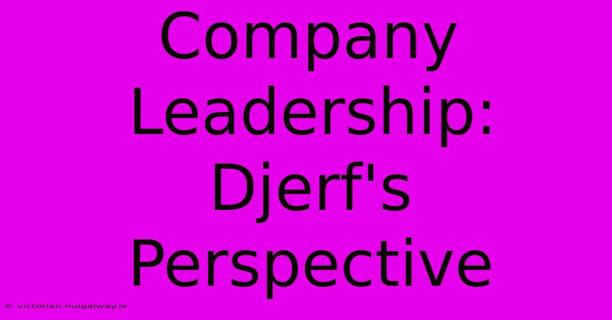 Company Leadership: Djerf's Perspective