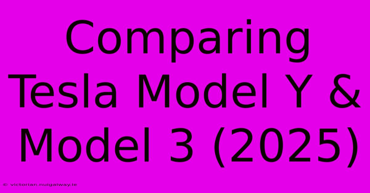 Comparing Tesla Model Y & Model 3 (2025)