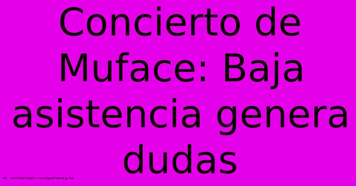 Concierto De Muface: Baja Asistencia Genera Dudas 