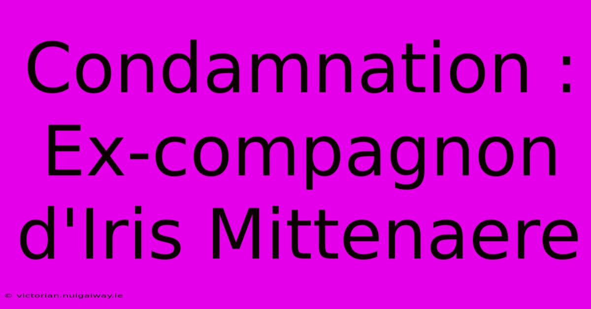 Condamnation : Ex-compagnon D'Iris Mittenaere 