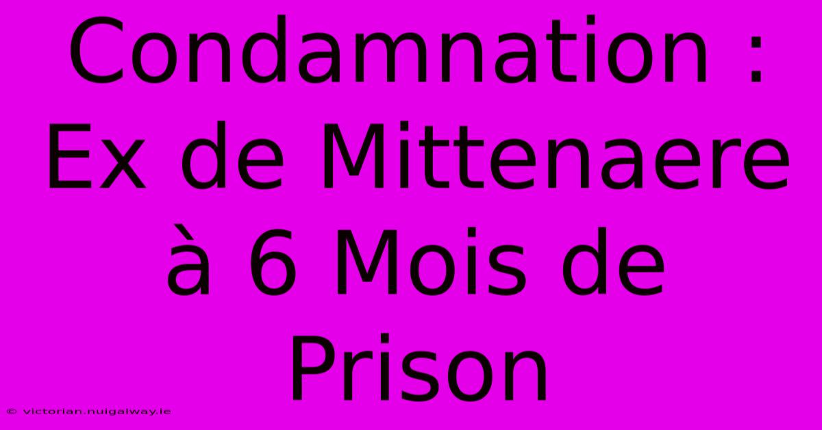 Condamnation : Ex De Mittenaere À 6 Mois De Prison