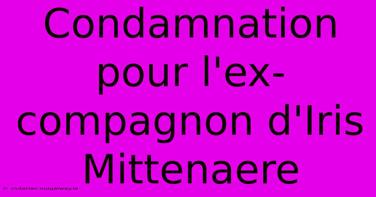 Condamnation Pour L'ex-compagnon D'Iris Mittenaere