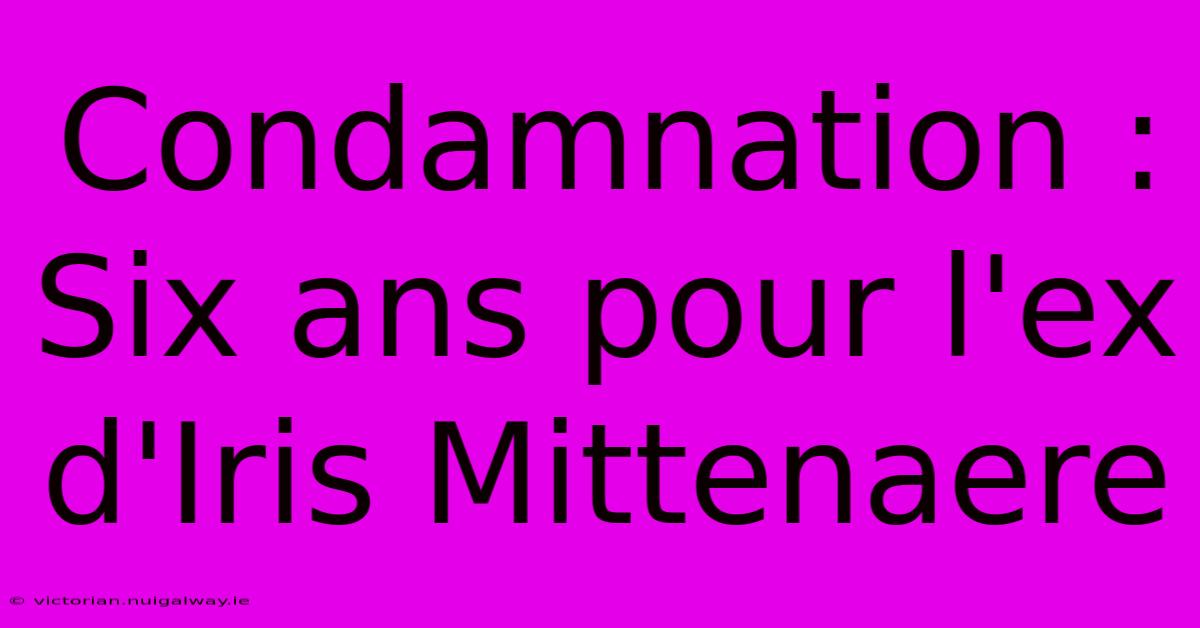 Condamnation : Six Ans Pour L'ex D'Iris Mittenaere 