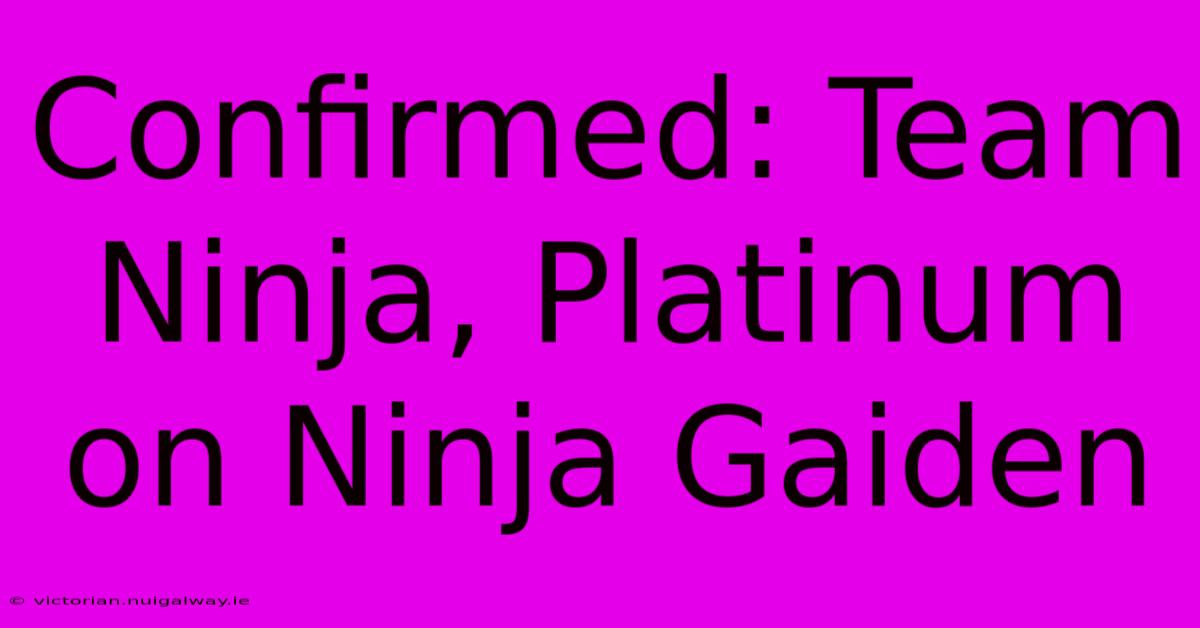 Confirmed: Team Ninja, Platinum On Ninja Gaiden