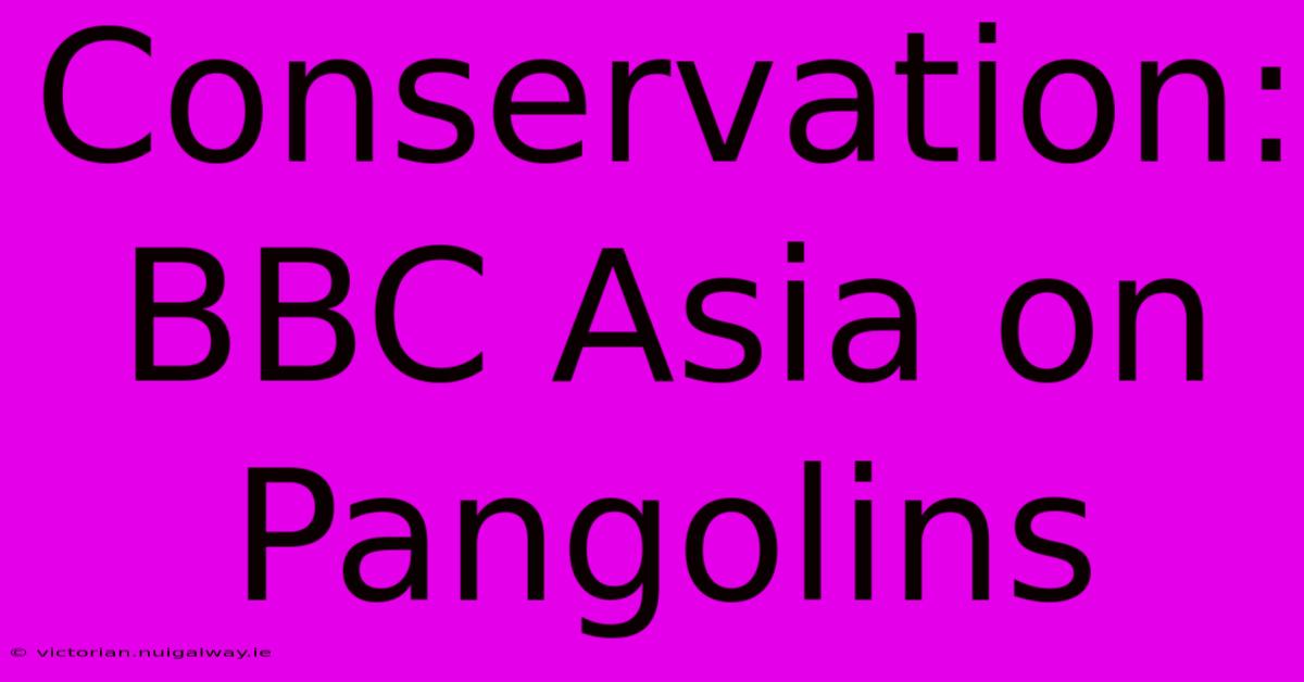 Conservation: BBC Asia On Pangolins