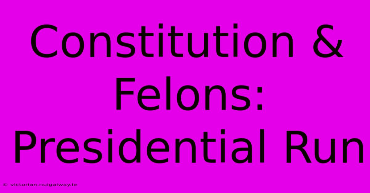 Constitution & Felons: Presidential Run