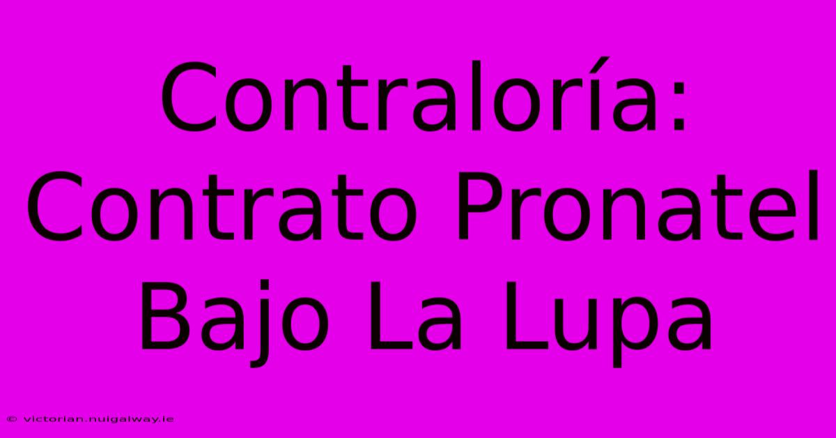 Contraloría: Contrato Pronatel Bajo La Lupa