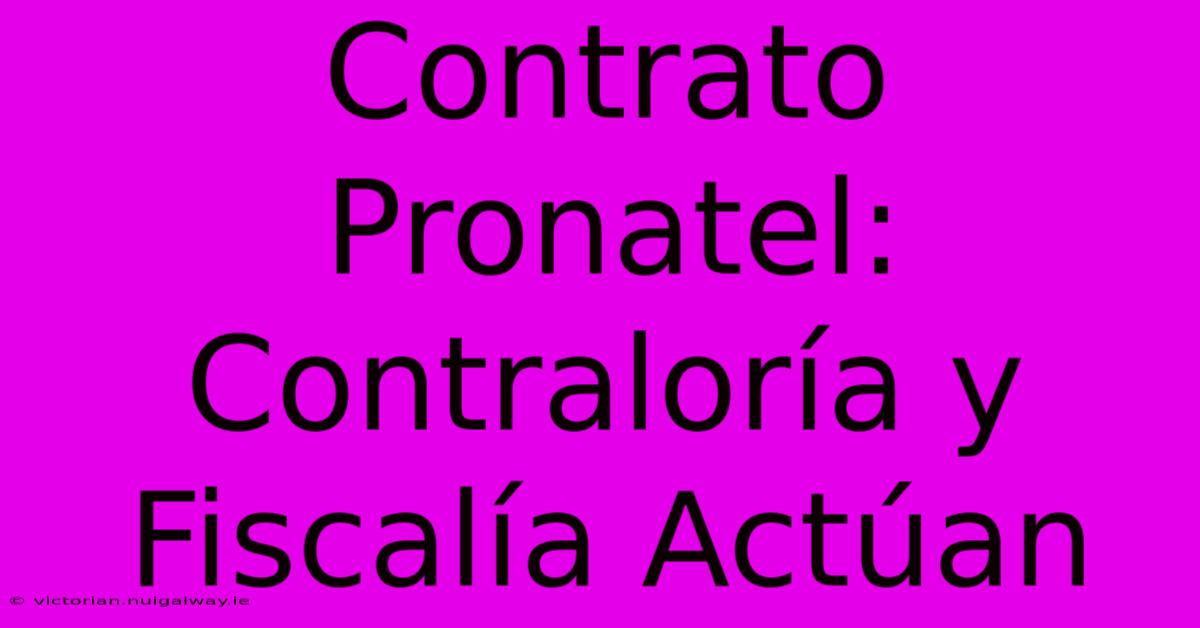 Contrato Pronatel: Contraloría Y Fiscalía Actúan 