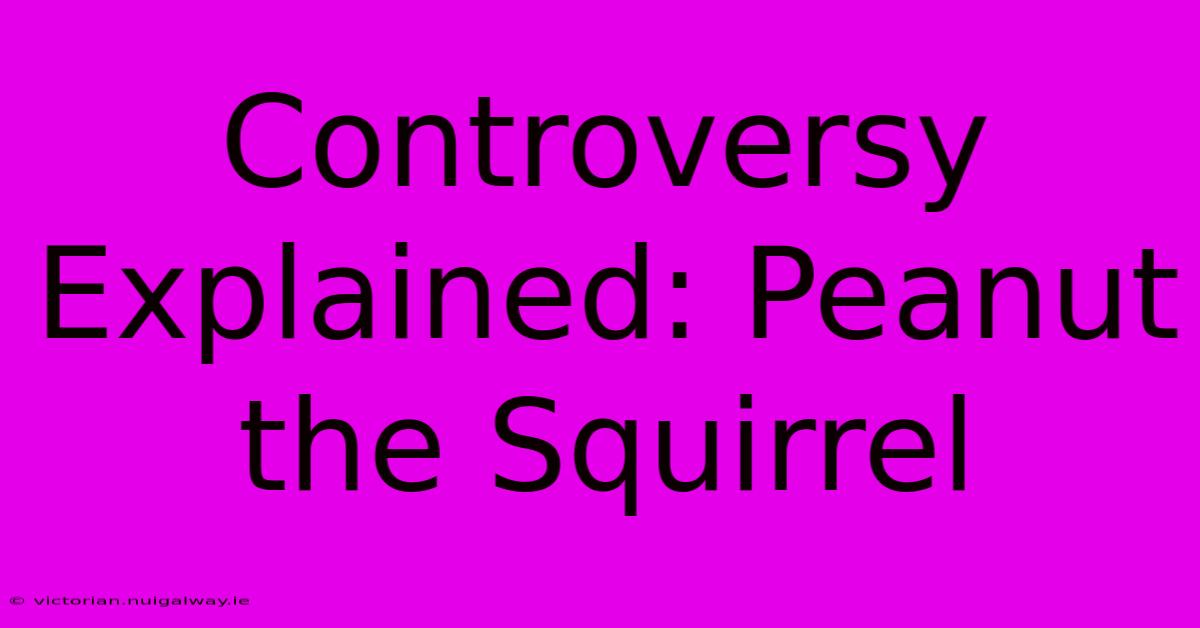 Controversy Explained: Peanut The Squirrel 