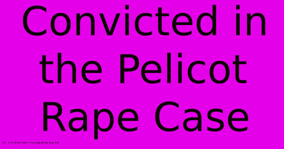 Convicted In The Pelicot Rape Case