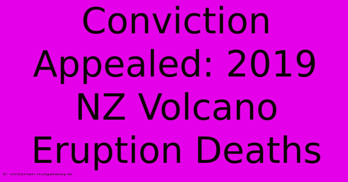 Conviction Appealed: 2019 NZ Volcano Eruption Deaths 