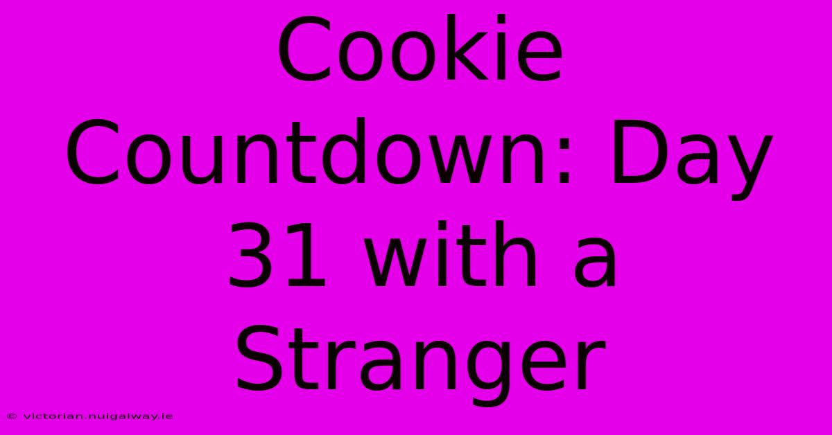 Cookie Countdown: Day 31 With A Stranger