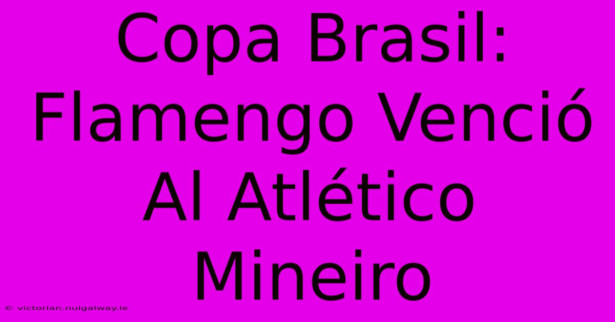 Copa Brasil: Flamengo Venció Al Atlético Mineiro