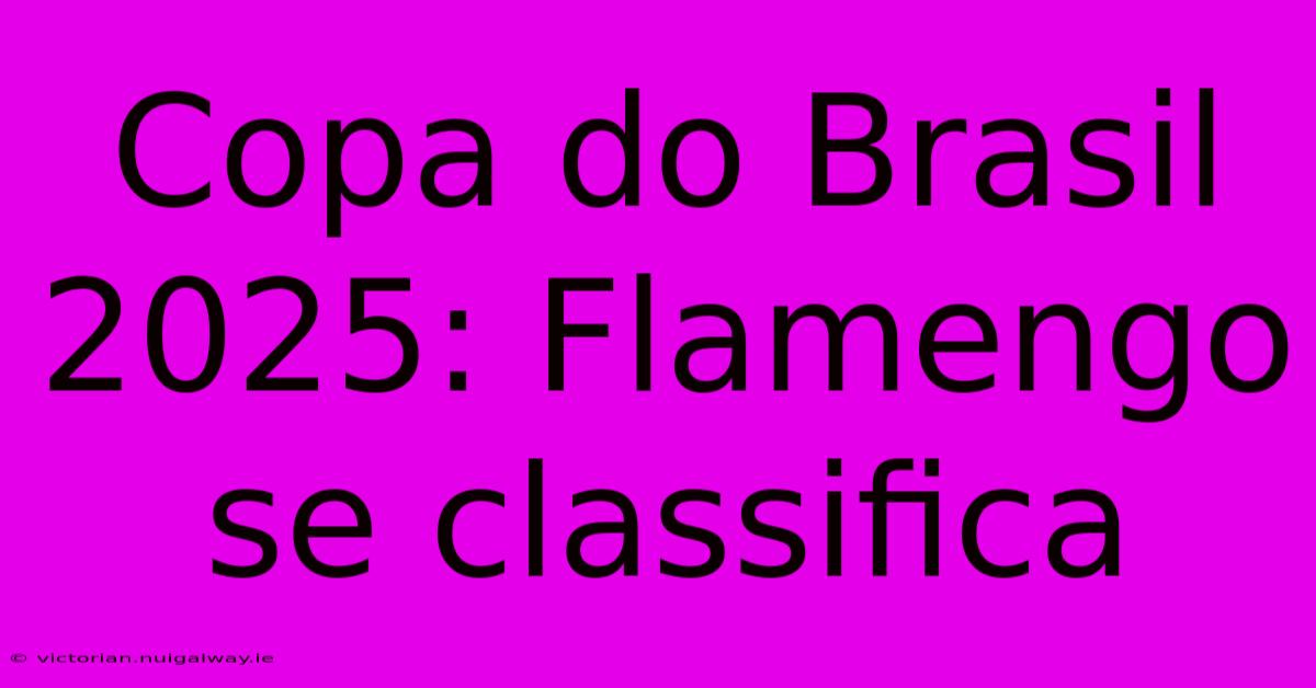 Copa Do Brasil 2025: Flamengo Se Classifica