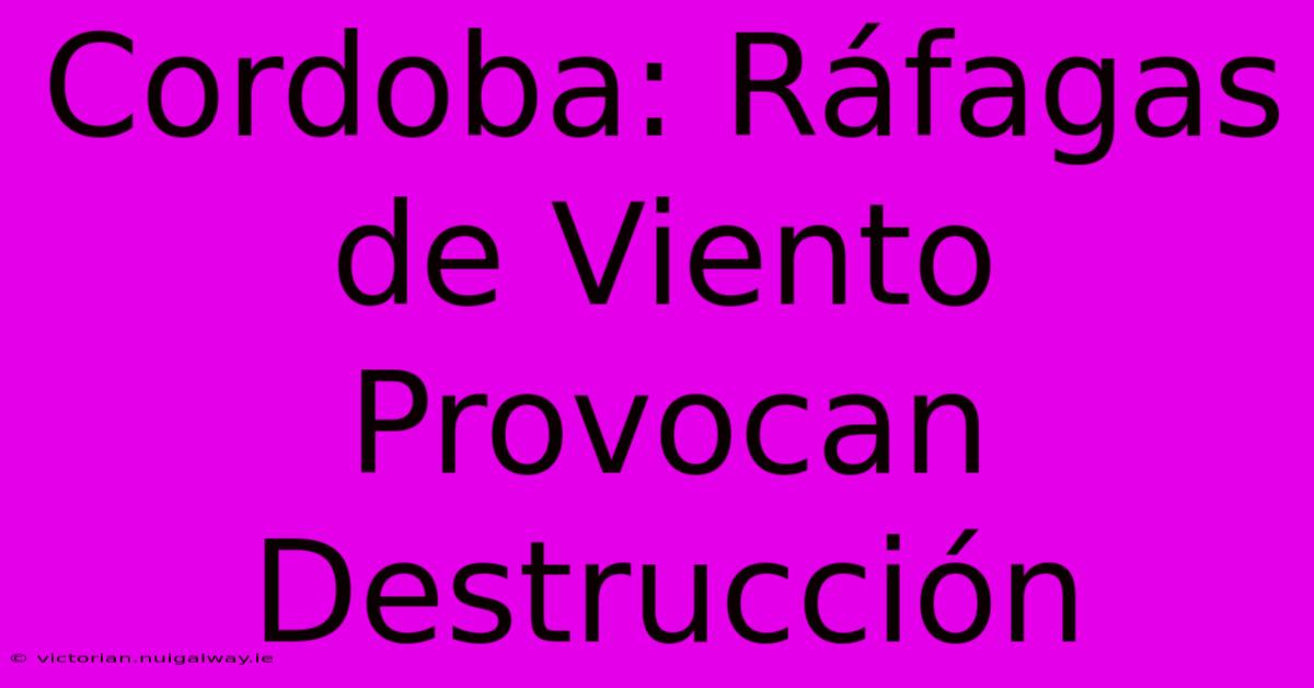 Cordoba: Ráfagas De Viento Provocan Destrucción