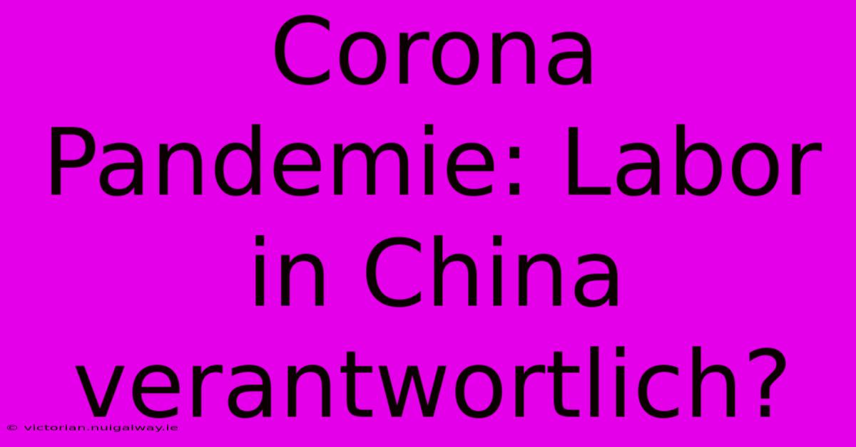 Corona Pandemie: Labor In China Verantwortlich?