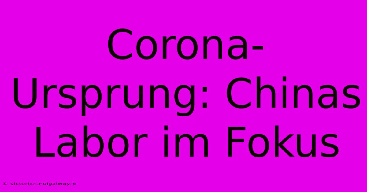 Corona-Ursprung: Chinas Labor Im Fokus