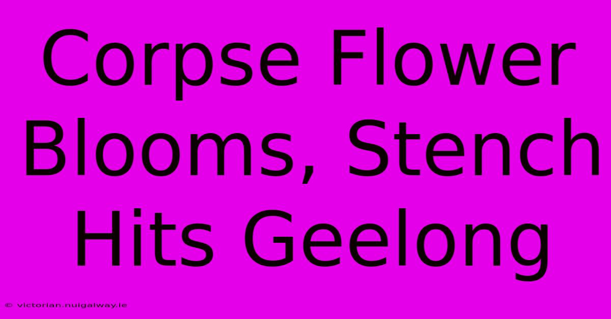 Corpse Flower Blooms, Stench Hits Geelong